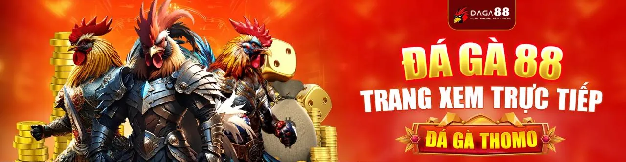 Đá gà trực tuyến you88 app với trận đấu kịch tính